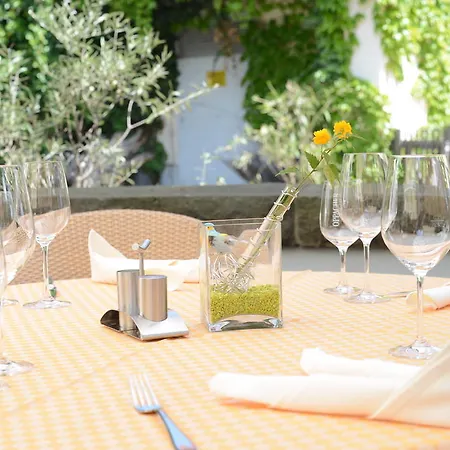 Landidyll Baumwiese Dresde