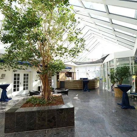 Landidyll Baumwiese Dresden