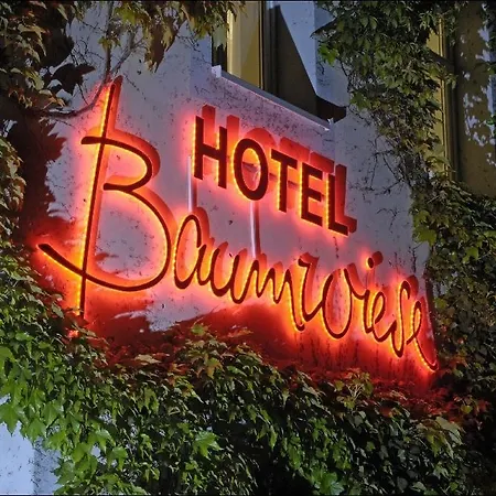 Landidyll Baumwiese Hotel 4*