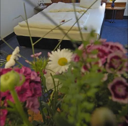 Hotel Landidyll Baumwiese 4*