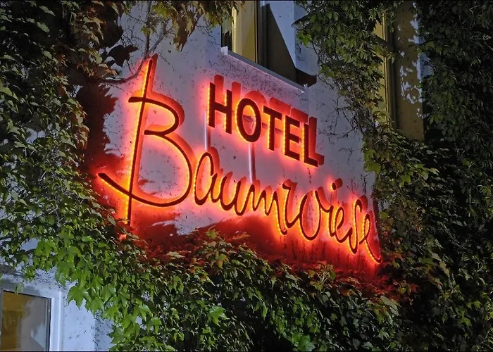 Landidyll Baumwiese Hotel 4*